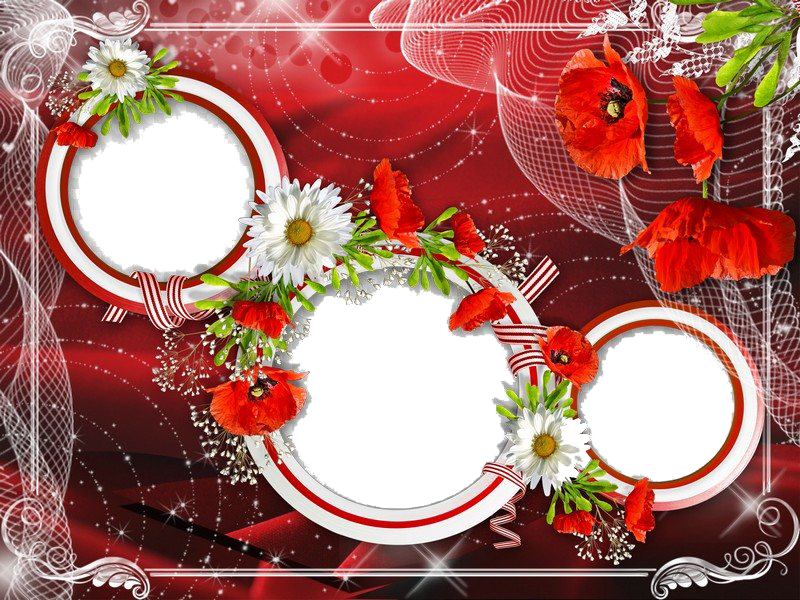 Poppy Frame Flower Download HQ PNG Image