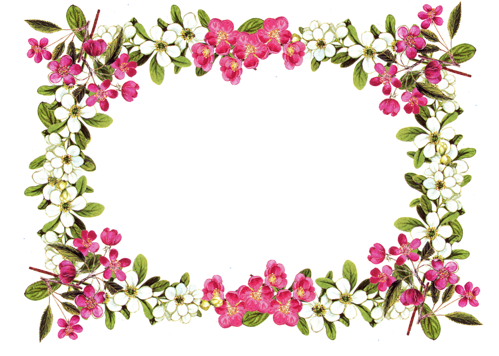 Frame Flowers Border Wedding Free Transparent Image HQ PNG Image