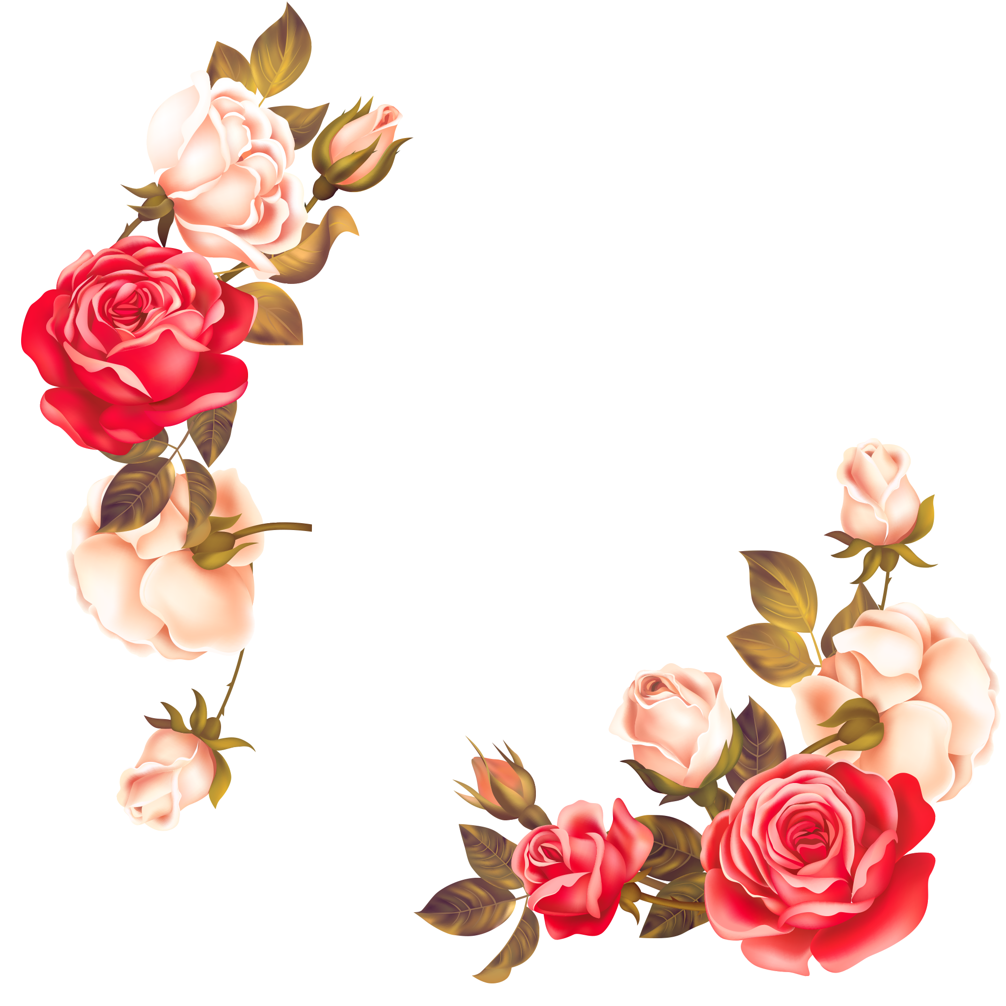 Rose Flowers Border Download HQ PNG Image