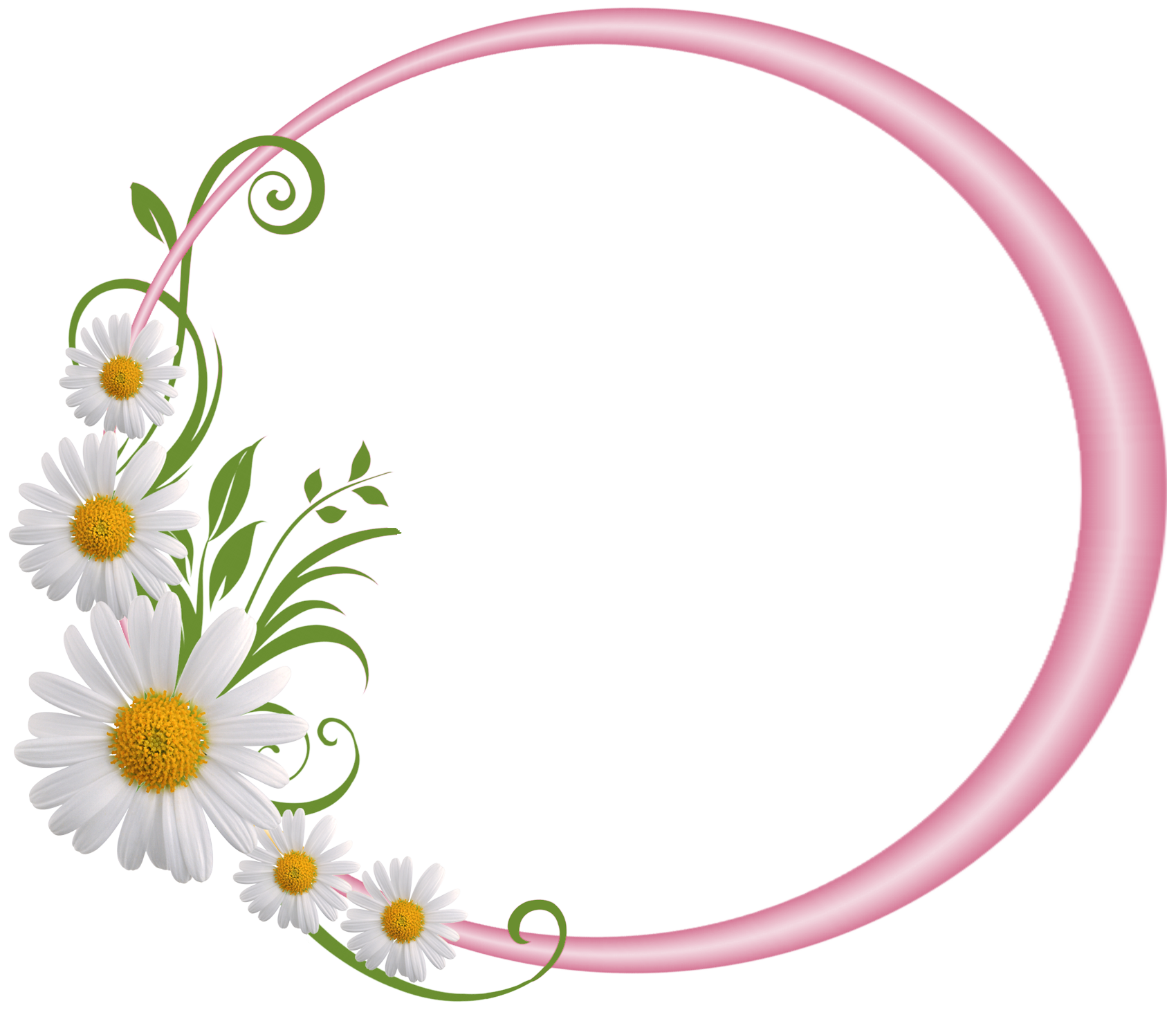 Pink Frame Photos Floral Circle Border PNG Image