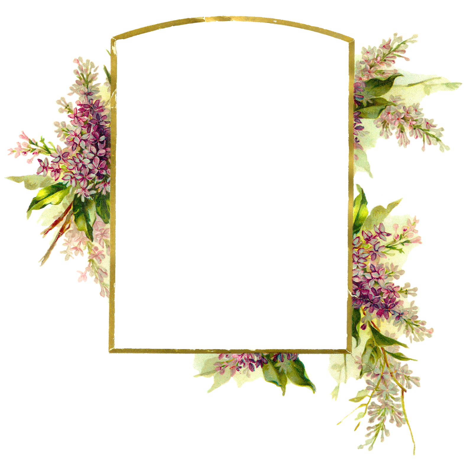 Frame Flower Romantic Free Transparent Image HD PNG Image