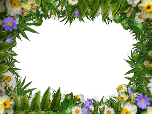 Floral Frame Border Free PNG HQ PNG Image