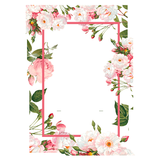 Floral Frame Border HQ Image Free PNG Image