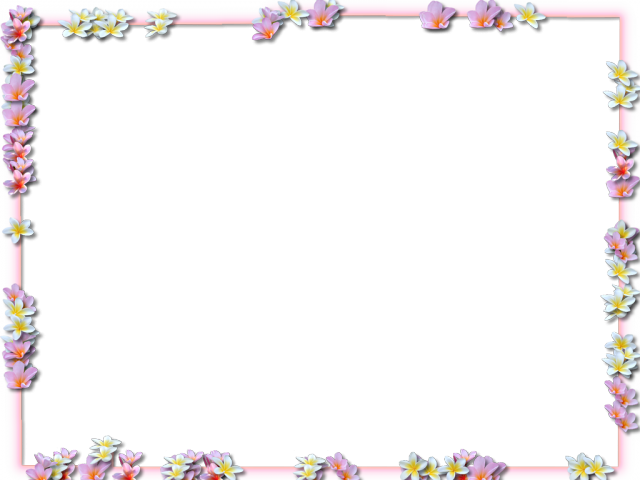 Border Frame Vector Square Flower PNG Image