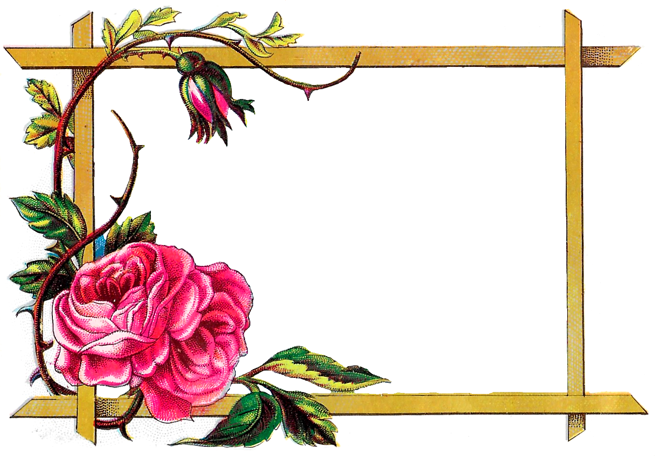 Border Frame Vector Square Flower PNG Image