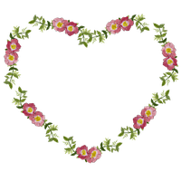 Floral Frame PNG Image