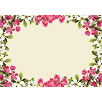 Pink Flower Frame Photos PNG Image