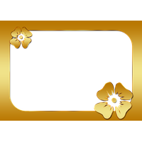 Gold Flower Frame Photo PNG Image