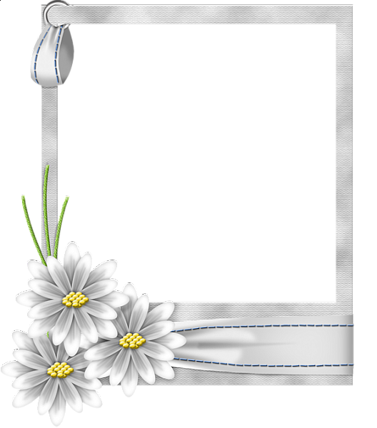 White Flower Frame Transparent PNG Image