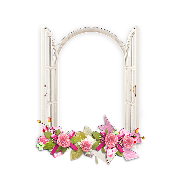 Pink Flower Frame Picture PNG Image