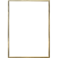 Gold Border Frame Photo PNG Image