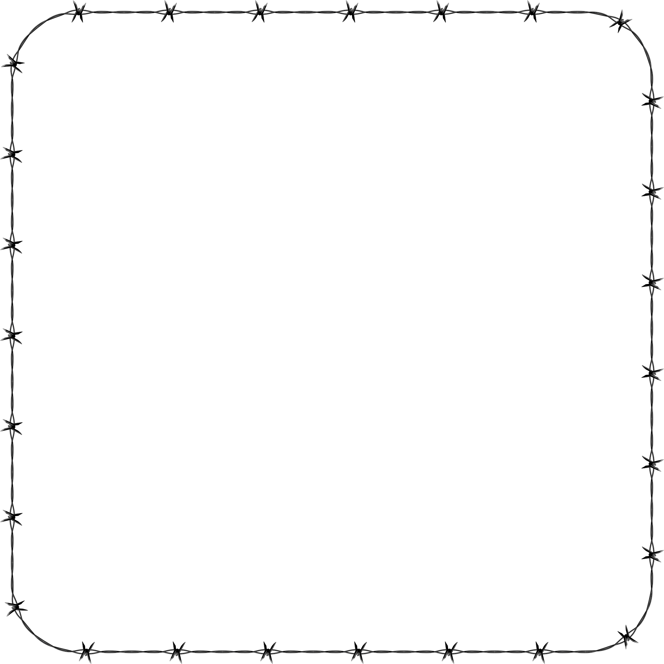 White Border Frame Transparent Background PNG Image