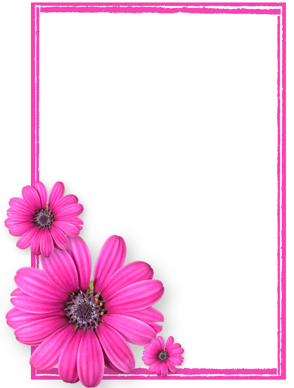 Pink Flower Frame Photos8 PNG Image