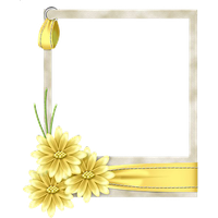 Yellow Border Frame Free Download PNG Image