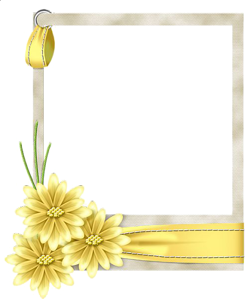 Yellow Border Frame Free Download PNG Image