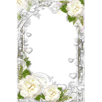 White Flower Frame Photos PNG Image