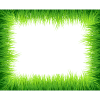 Green Border Frame Photos PNG Image