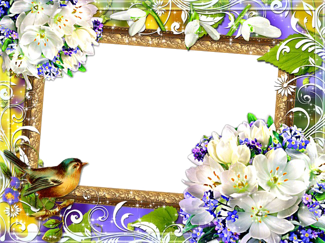 Mood Frame PNG Image