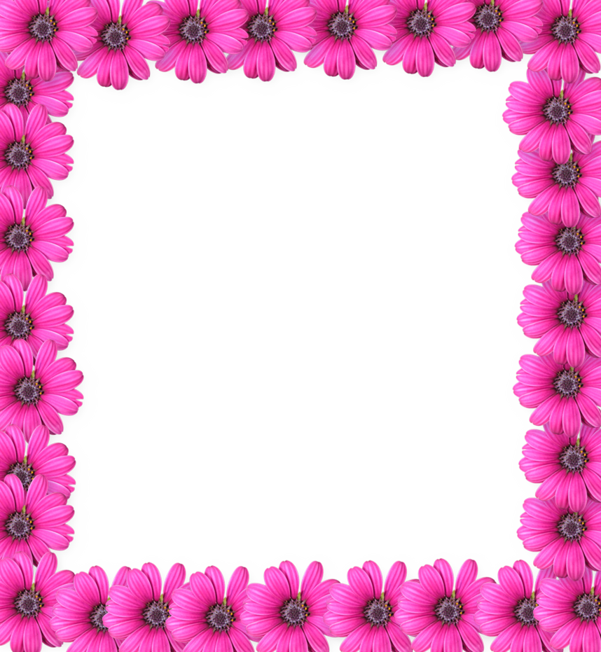 Pink Flower Frame Photo PNG Image