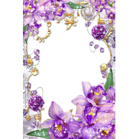 Purple Border Frame Transparent Image PNG Image