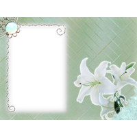 White Flower Frame Transparent PNG Image