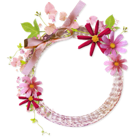 Pink Flower Frame Transparent Background PNG Image