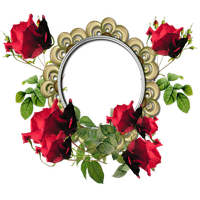 Red Flower Frame Photos PNG Image