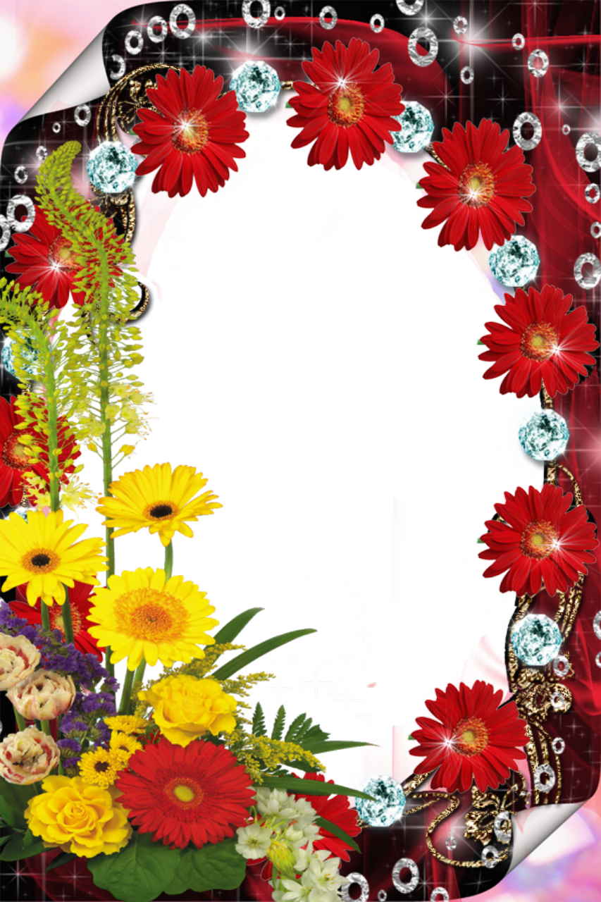 Red Flower Frame File PNG Image