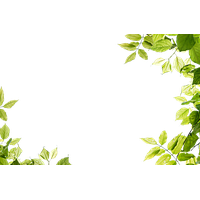 Leaf Frame Transparent PNG Image