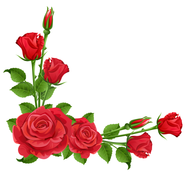 Red Flower Frame Free Download PNG Image