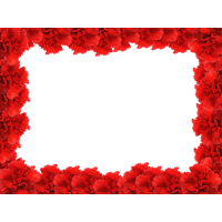 Red Flower Frame Photo PNG Image