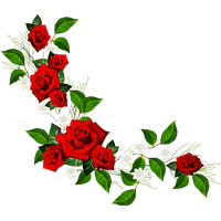 Red Flower Frame PNG Image