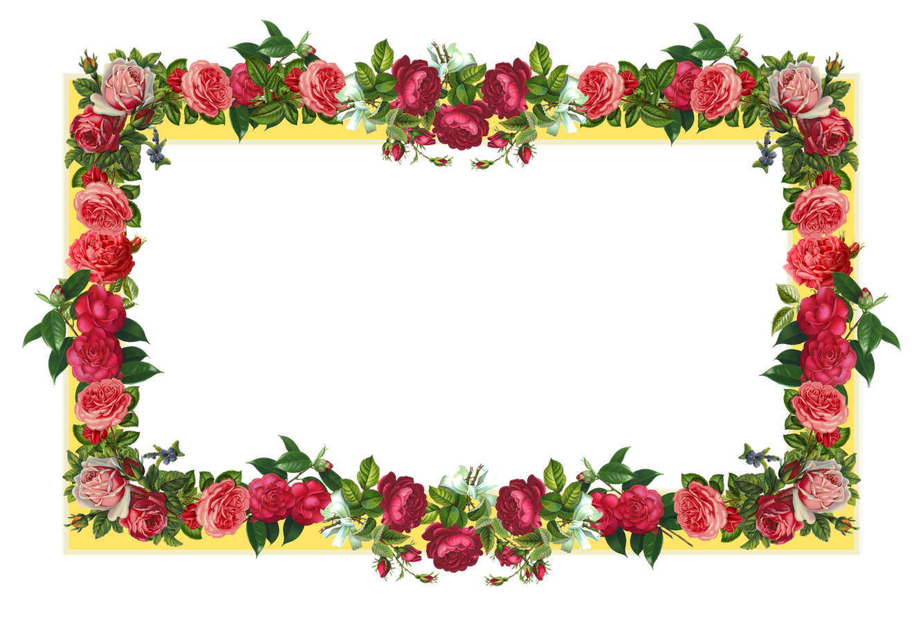 Red Flower Frame Photos PNG Image