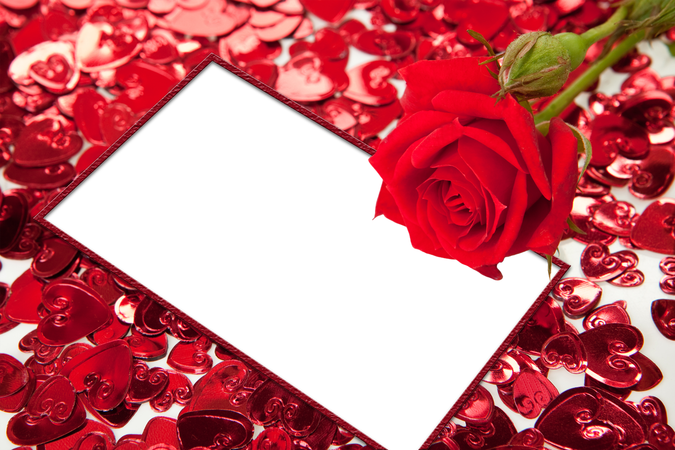 Red Flower Frame Hd PNG Image