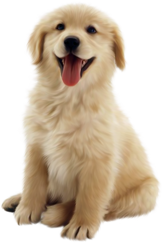 Dog Png 10 PNG Image