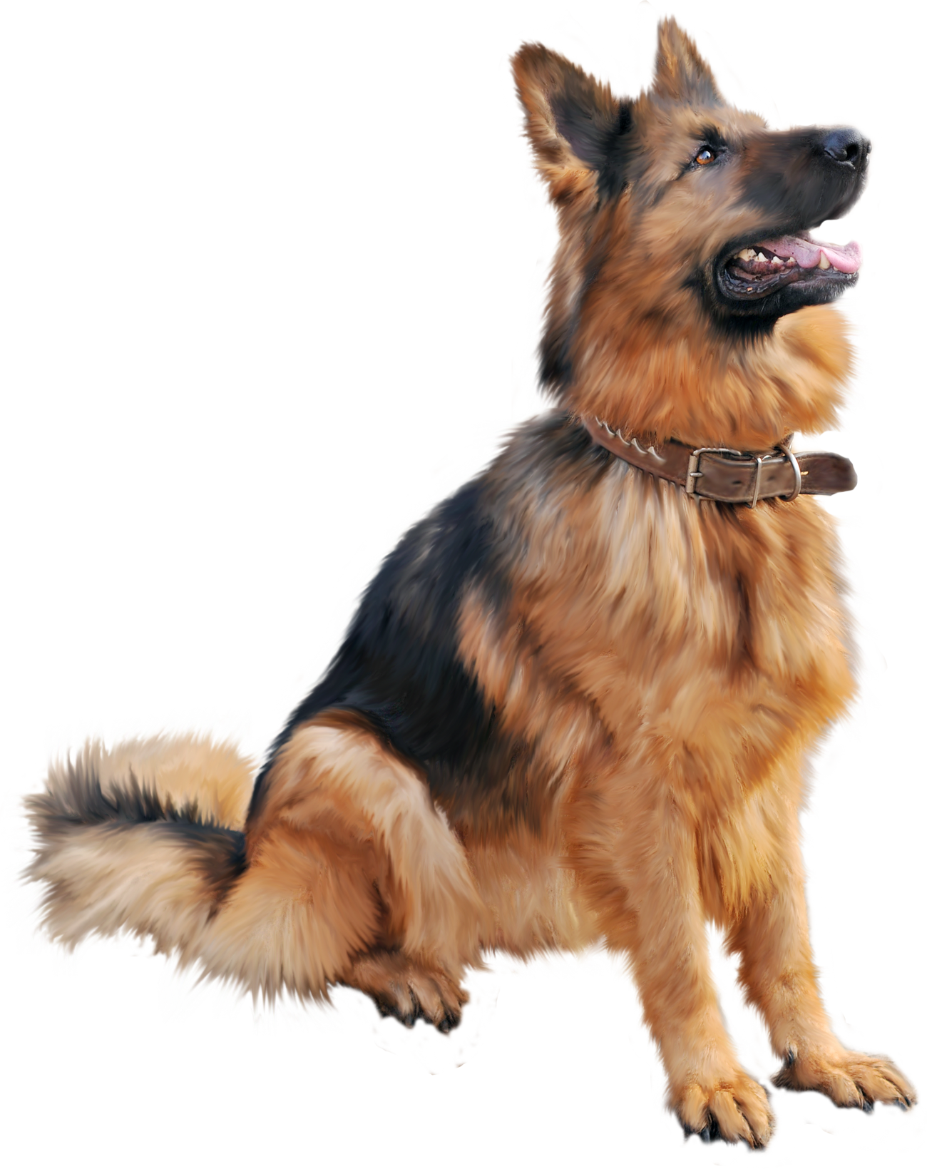 Dog Png 6 PNG Image