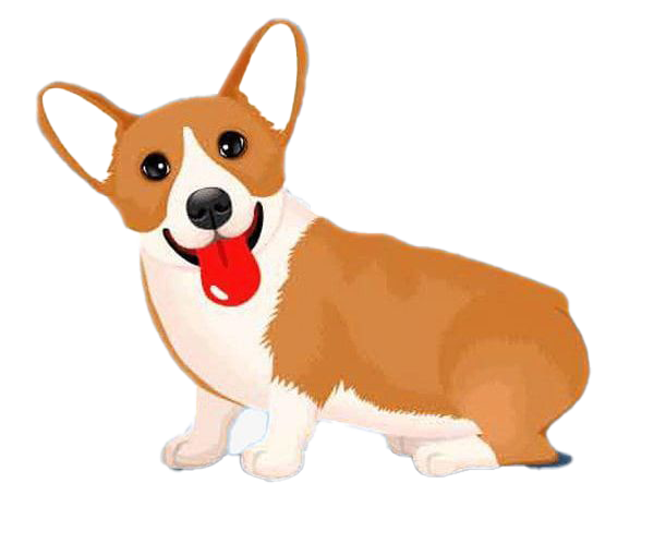 Cute Dog Corgi Free PNG HQ PNG Image