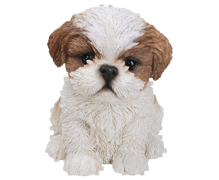 Shih Puppy Tzu Free HD Image PNG Image