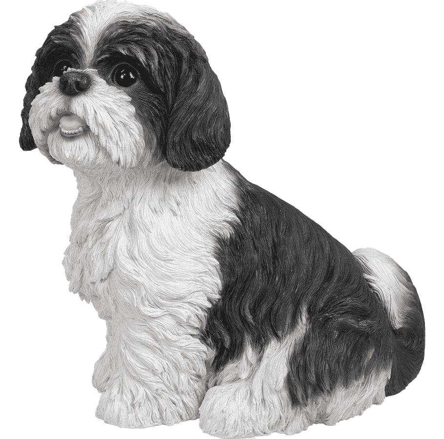 Shih Puppy Tzu Free Clipart HQ PNG Image