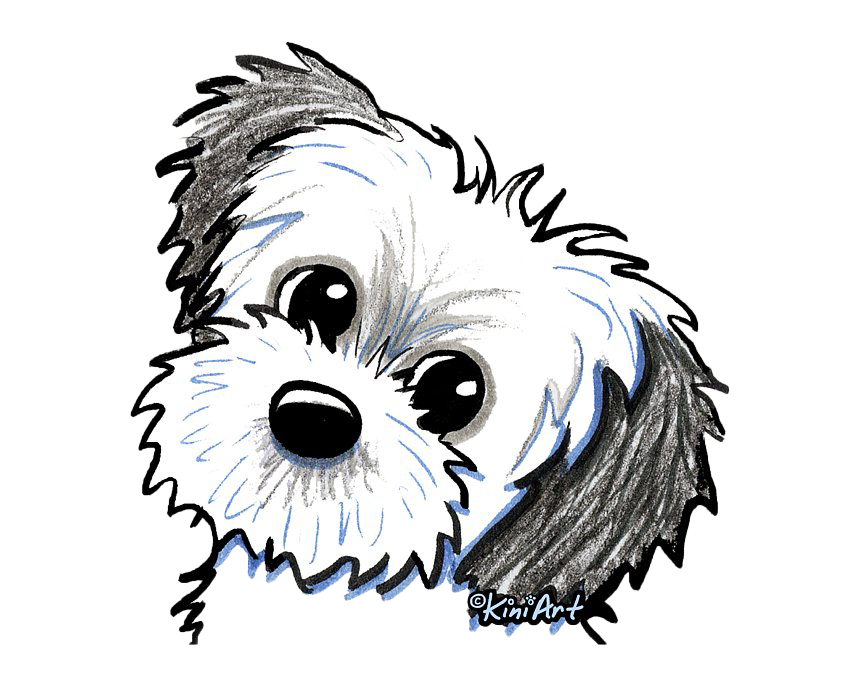 Cute Shih Tzu Free PNG HQ PNG Image