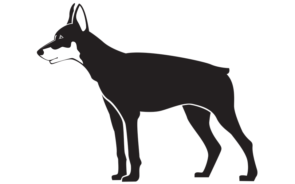 Standing Black Dog Free HQ Image PNG Image