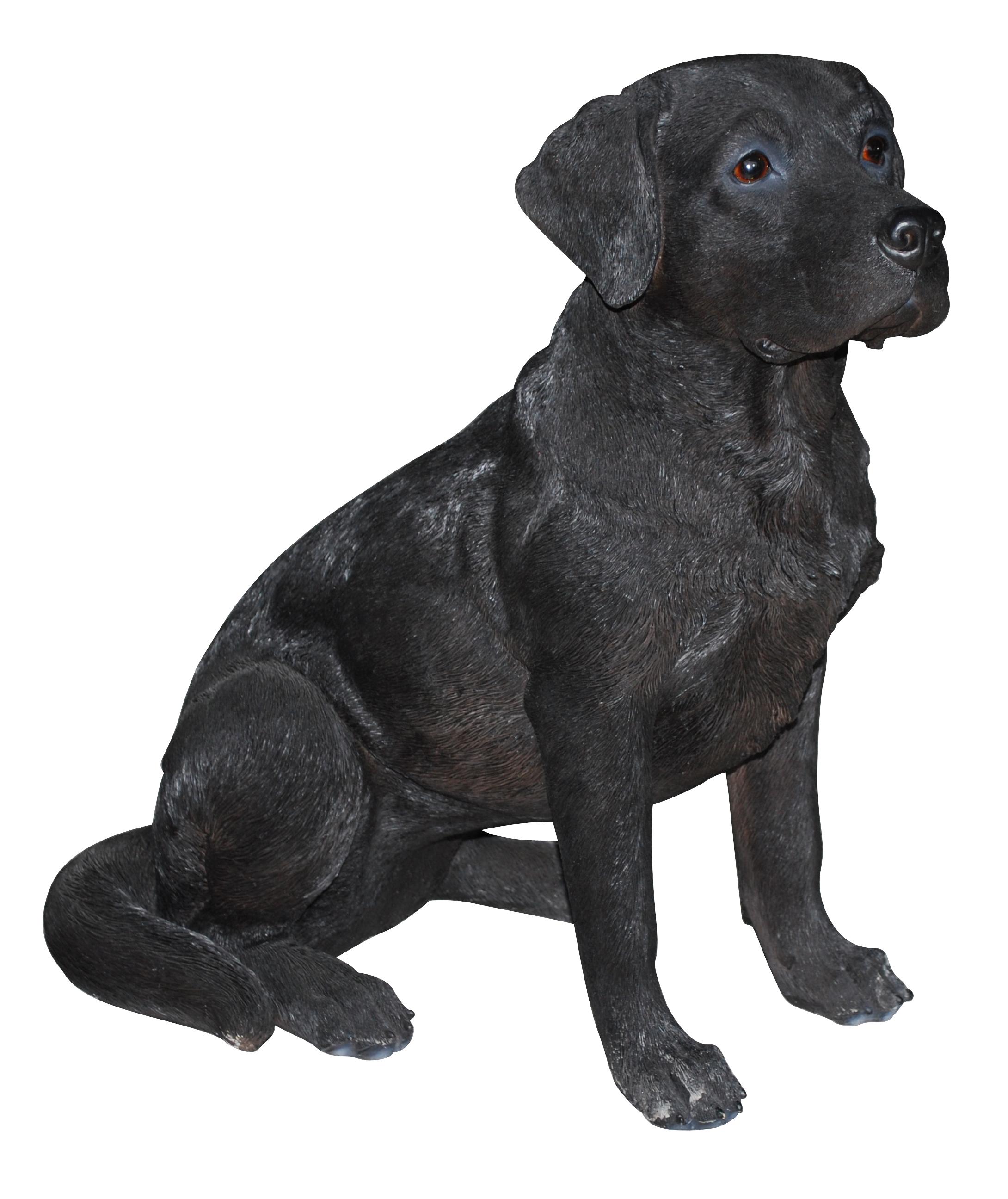 Sitting Retriever Black Labrador Dog PNG Image