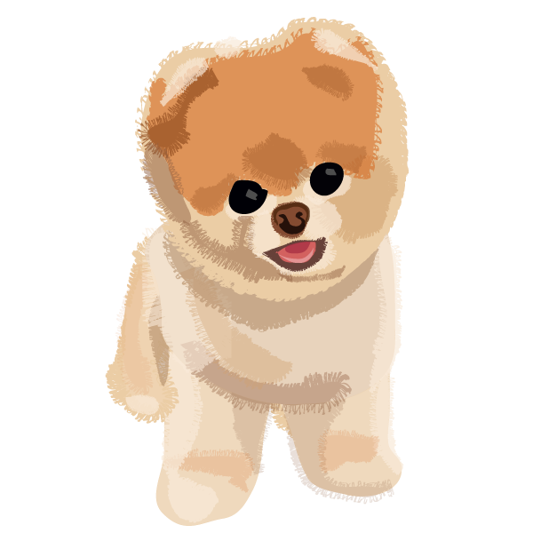 Boo Dog Transparent Image PNG Image