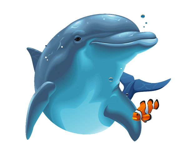 Dolphin Png Image PNG Image