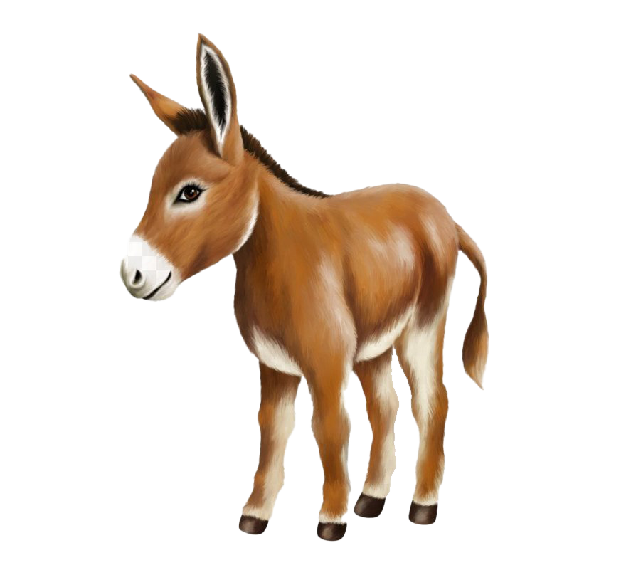 Donkey Free HD Image PNG Image