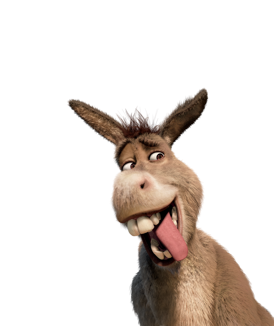 Funny Donkey Free HD Image PNG Image