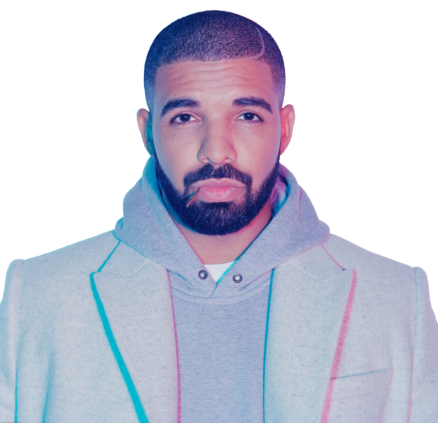 Drake Transparent PNG Image