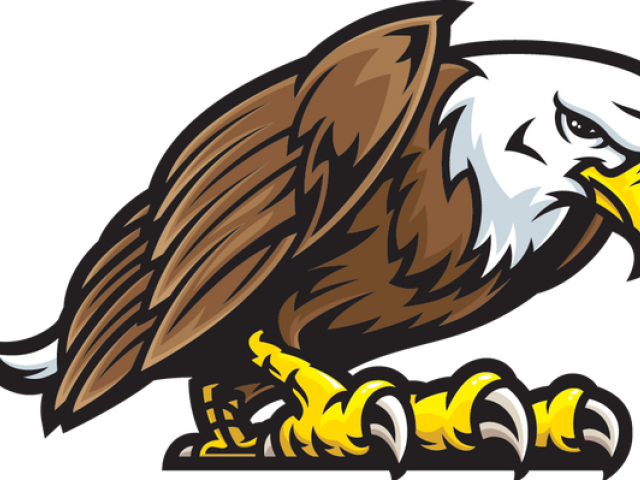 Eagle Sitting Download HQ PNG Image