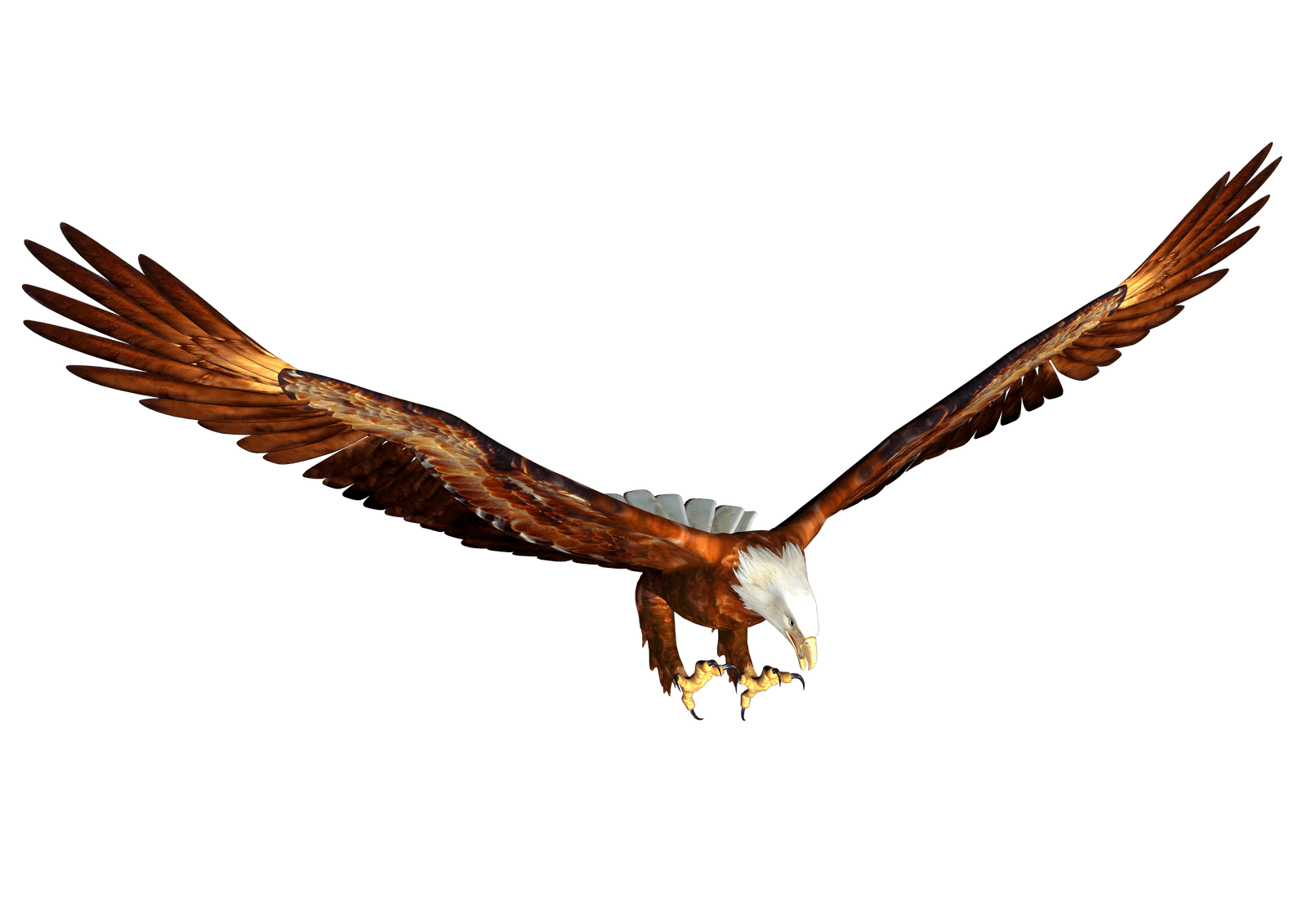 Eagle Png Image Download PNG Image