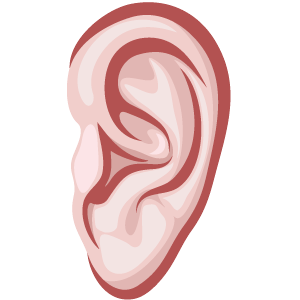 Ear Png Image PNG Image